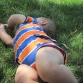 Landon in the grass